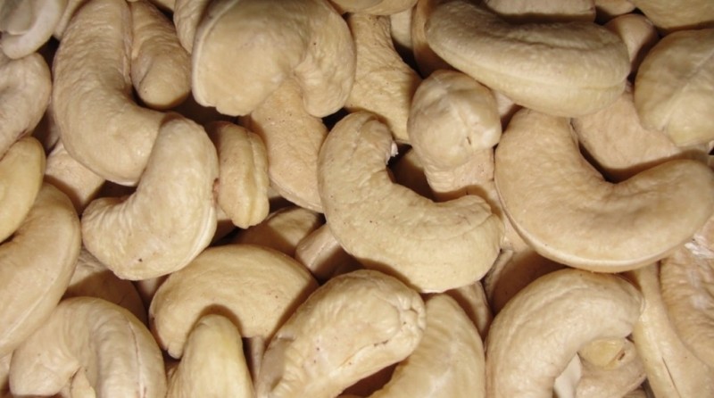 cashew1
